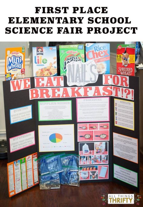 First place Elementary School Science Fair Project! | All Things Thrifty Elementary School Science Fair Projects, Stem Fair Projects, 5th Grade Science Projects, Kids Science Fair Projects, Elementary Science Fair Projects, Science Fair Board, Science Fair Experiments, Science Fair Projects Boards, Reading Fair