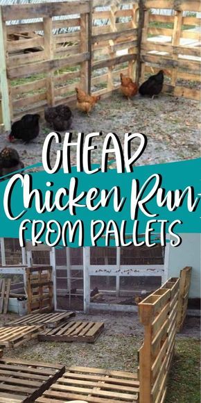 Coop Extension, Chicken Coop Extension, Pallet Chicken Run, Chicken Run Diy, Chicken Coop Designs Diy, Building A Chicken Run, Chicken Enclosure, Cheap Chicken Coops, Chicken Coop Pallets