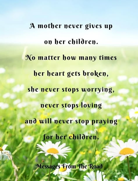 Estranged Daughter Quotes From Mom, When Your Adult Children Hurt You, When Your Kids Hurt You Mothers, Estranged Mother Quotes, Estranged Son Quotes, Estranged Daughter Quotes, Mothers Love For Her Son, Day Before School, Family Estrangement