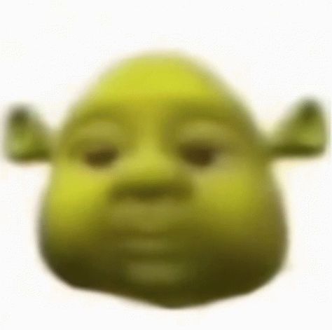 Shrek Baby, My Honest Reaction, Honest Reaction, Funny Reaction, Skibidi Toilet, Very Funny Pictures, Funny Reaction Pictures, Meme Funny, Shrek