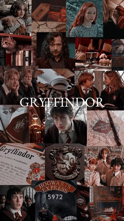 Gryffindor Aesthetic Collage, Harry Potter Gryffindor Wallpaper, Harry Potter Gryffindor Aesthetic, Gryffindor Characters, Gryffindor Aesthetic Wallpaper, Harry Potter Houses Aesthetic, Gryffindor Art, Harry Potter Wallpaper Gryffindor, Harry Potter Iphone Wallpaper