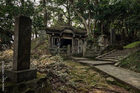 Abandoned Shrine, Abandoned Temple, Forest Of Drizzling Rain, Dnd Campaign Ideas, Drizzling Rain, Japan Temple, Dnd Campaign, Tree Trunk, Temple