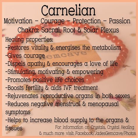 Carnelian Crystal Meaning, Red Carnelian Crystal, Crystal Healing Chart, Nugget Bracelet, Fertility Boost, Crystal Guide, Red Carnelian, Carnelian Crystal, Crystals Healing Properties