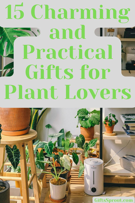 Transform your gift-giving with unique and thoughtful ideas perfect for green thumbs. Discover #PlantGifts that cater to every plant enthusiast's love for #IndoorGardening and #SustainableLiving. Presents For Plant Lovers, Christmas Gifts For Plant Lovers, Plant Lady Gifts, Gifts For Plant People, Plant Lover Gift Ideas, Plant Gift Basket, Gift Ideas For Plant Lovers, Plant Gift Ideas, Gifting Plants