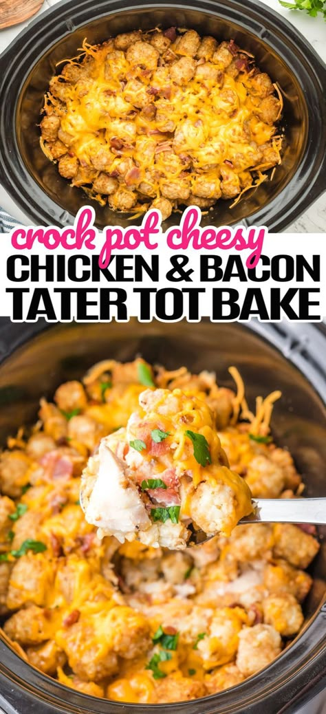 This Crock Pot Cheesy Chicken, Bacon, & Tater Tot Bake takes everyone's favorite ingredients and combines them to make one tasty meal! #Realhousemoms #crockpot #chicken #bacon #tatortots #cheesy #slowcooker #bestcrockpotrecipe #comfortfood #fallweather Tater Tot Chicken Crock Pot, Crockpot Tator Tot Casserole Chicken, Crockpot Tater Tot Casserole Chicken, Crockpot Chicken And Tater Tots Recipes, Slow Cooker Chicken Tater Tot Casserole, Crockpot Recipes Throw And Go, Few Ingredients Crockpot Recipes, Crockpot Chicken Bacon Recipes, Cheap Crockpot Recipes 3 Ingredients