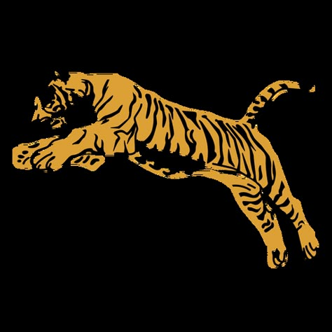 Tiger jumping hand drawn design #AD , #jumping, #Tiger, #drawn, #design, #hand Tiger Jumping Drawing, Jumping Tiger Illustration, Leaping Tiger Illustration, Tiger Jumping Illustration, Jumping Tiger Tattoo, Pouncing Tiger, Tiger Attacking, Tiger Illustration Art, Animated Tiger