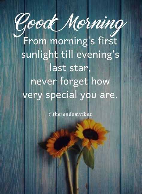 Good Morning Quotes and Wishes Daily Wishes, Positive Morning Quotes, Positive Good Morning Quotes, Good Morning Happy Sunday, Good Morning Sunshine Quotes, Happy Morning Quotes, Good Morning Flowers Quotes, Good Morning Life Quotes, Happy Good Morning Quotes