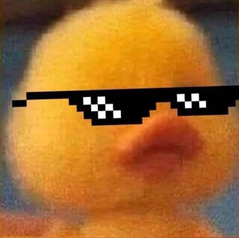 It's a duck, well yk its a BADDIE PFP! Pfp Funny Aesthetic, Funny Pfps, Cool Pfps For Discord, Pfps For Discord, Pfp Funny, Funny Pfp, Funny Aesthetic, Discord Pfps, Cute Pfp