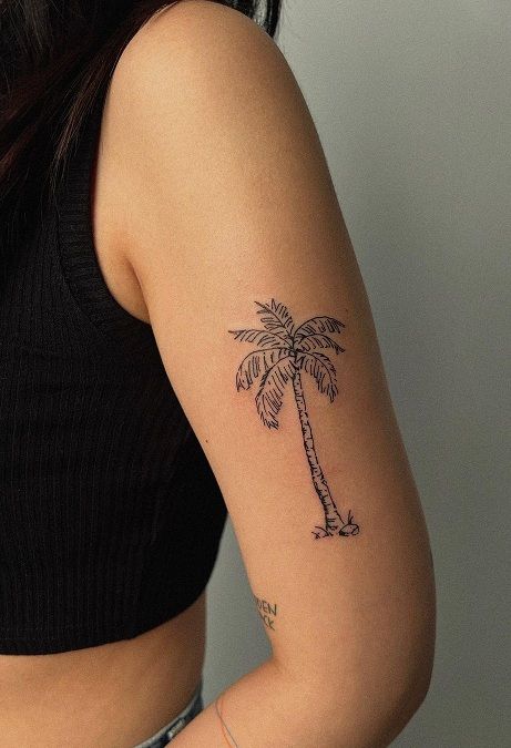 Palm Tree Tattoo Arm Women, Palm Tree Rib Tattoo, Florida Palm Tree Tattoo, Back Palm Tattoo, Coconut Palm Tree Tattoo, Palm Tree Stamp Tattoo, Palm Tree Back Tattoo, Hip Fine Line Tattoo, Palmetto Tree Tattoo