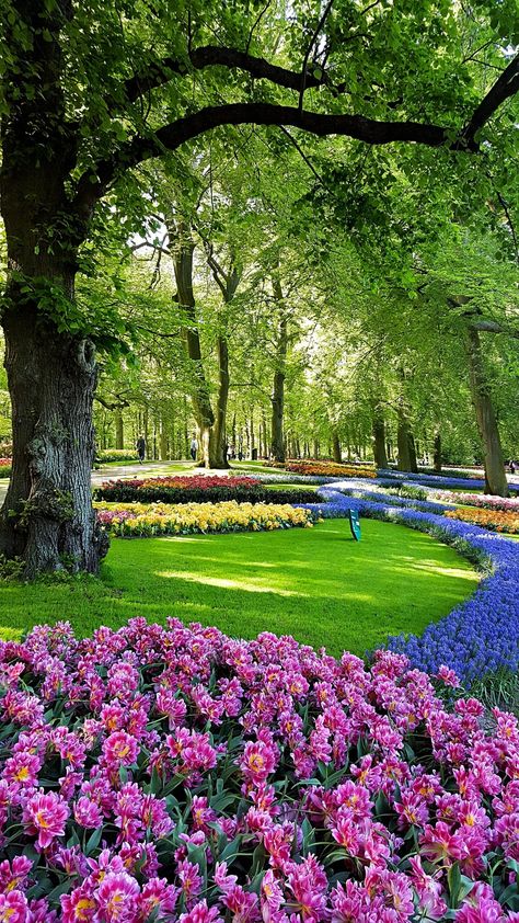 Beautiful Flower Garden Images, Flower Garden Photos, Beautiful Photos Of Nature Amazing Pictures, Wallpaper Of Nature, Flower Garden Pictures, Flower Garden Images, Beautiful Gardens Landscape, Flower Park, Best Flower Pictures