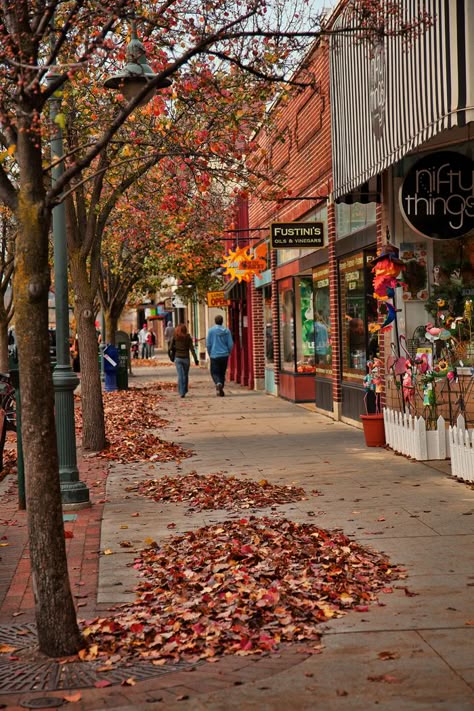 Traverse City Michigan Fall, Michigan Aesthetic, Fall Town, Hallway Christmas, Burr Basket, Michigan Fall, Bow Tree, Fall City, Traverse City Michigan