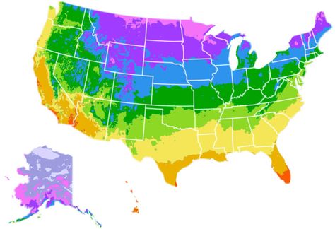 What Gardening Zone Am I In, Texas Planting Zones, What Planting Zone Am I In, What Garden Zone Am I In, Gardening Zones Map U.s. States, What Zone Am I In For Planting, Planting Zones Map United States, Garden Zones Map, Gardening Zones Map