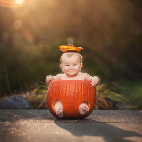 Fall Baby Outfits, Holiday Baby Pictures, Halloween Baby Pictures, Halloween Baby Photos, Fall Baby Photos, Baby Holiday Photos, Fall Baby Pictures, Photo Halloween, Baby Milestones Pictures