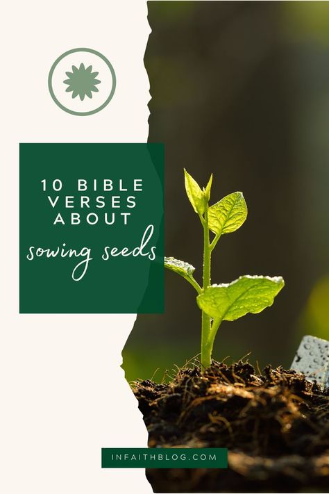 Scripture About Planting Seeds, Sowing Seeds Of Faith, Planting Seeds Of Faith, Quotes About Seeds, Planting Seeds Quotes, Eclectic Homeschooling, Seed Quotes, Sowing And Reaping, Biblical Garden