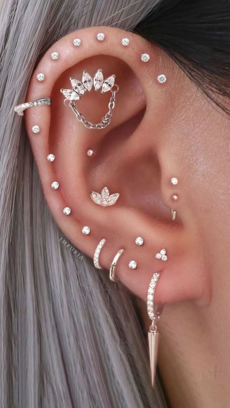 Aesthetic Piercings, Ear Project, Full Ear Piercings, Earring Stacks, Unique Ear Piercings, Ear Piercing Ideas, Creative Earrings, Ear Piercings Chart, Piercing Chart