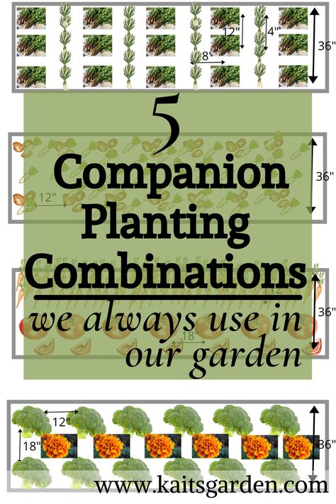 5 Companion Planting Combinations we Always Use / Garden Ideas / Gardening Tips / Homesteading / Gardening for Beginners / www.kaitsgarden.com Row Gardening Layout, Garden Buddies Companion Planting, Vegtable Garden Lay Out, Sample Garden Layout, Vegetable Garden Design Layout Companion Planting, Companion Planting Vegetables Layout Raised Bed, Garden Shapes Layout, 8x8 Garden Layout, Companion Vegetable Garden Layout