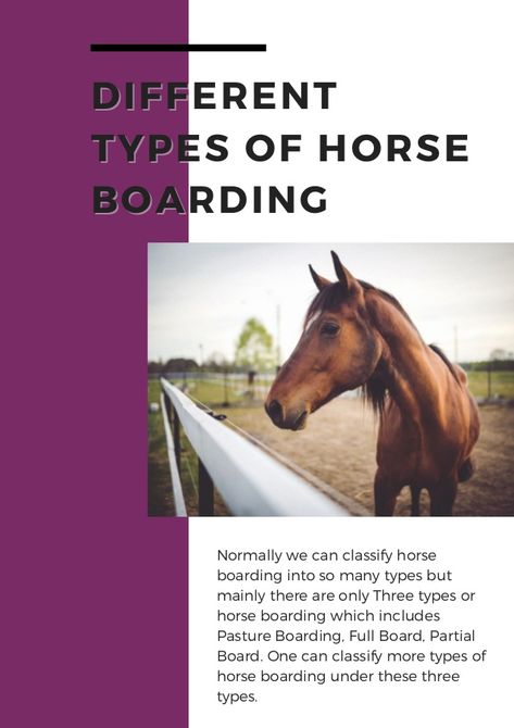 Looking for a best home for your horse for the night or long-term in the event of travel, work, etc.? Horse boarding professionals provide a comfortable space to keep your four-legged friends safe, happy and entertained while you are away. There are mainly three boarding options: Partial board, Full Board and Pasture Board. Read here about different boards and then choose suitable boarding for your horse. #Types of horse boarding, #Horseboardingtypes #typesofhorseboarding #FullHorseBoard Horse Types, Equine Massage Therapy, Buying A Horse, Equine Massage, Horse Farm Ideas, Boarding Facility, Horseback Riding Lessons, Buy A Horse, Indoor Arena