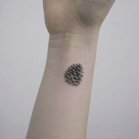 Pine Cone Tattoo, Pinecone Tattoo, Cone Tattoo, Pine Tattoo, Tattoo Symbolism, Single Needle Tattoo, Forest Tattoos, Small Wrist Tattoos, Nature Tattoos