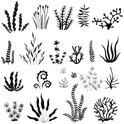 Small Fishes Drawing, Ocean Aesthetic Doodles, Sea Weeds Drawing Easy, Sea Plants Drawing, Underwater Plants Drawing, Small Line Art, Flora Drawings, Ocean Outline, Coral Tattoo