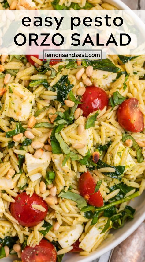 This Pesto Orzo Salad is a fresh and simple salad made with a handful of simple ingredients. Filled with fresh mozzarella, tomatoes, a homemade basil pesto. Whip it up in under 30 minutes, add a protein to make it a meal, the possibilities are endless! Recipe With Orzo, Pesto Orzo Salad, Pesto Orzo, Orzo Salad Recipes, Pesto Salad, Pastas Recipes, Orzo Pasta Salad, Simple Salad, Orzo Salad