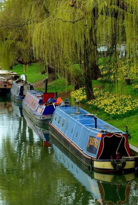 Explore Jayembee69's photos on Flickr. Jayembee69 has uploaded 1506 photos to Flickr. Canal Boats England, Barge Boat, Canal Barge, Dutch Barge, Boat Living, Narrow Boats, Floating Homes, Narrow Boat, Canal Boats