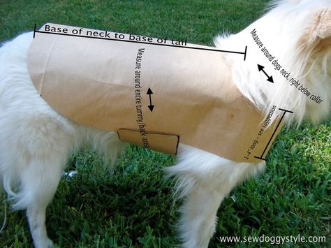 Drafting a Pet Coat Pattern - so easy! by afrothunder00 Dog Coat Pattern, Dog Diy, Dog Room, Dog Clothes Patterns, Dog Jacket, Coat Patterns, Dog Sweaters, Dog Sweater, Dog Pattern