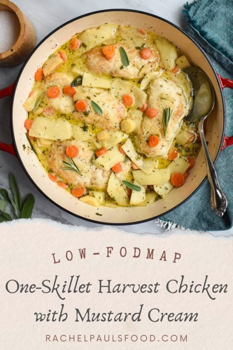 Creamy and satisfying low-FODMAP recipe for One-Skillet Harvest Chicken with Mustard Cream. The perfect medley of fall flavors. IBS-friendly and gluten-free. Chicken Low Fodmap Recipes, Fodmap Free Recipes, Chicken Fodmap Recipes, Meal Prep Low Fodmap, Gluten Free Dairy Free Low Fodmap Recipes, Low Fodmap Dessert Recipes, Healthy Low Fodmap Recipes, Low Fodmap Instant Pot Recipes, Low Fodmap Dinner Ideas