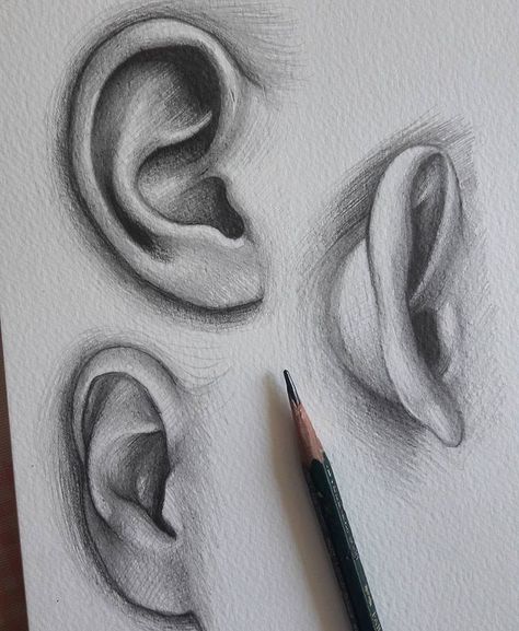 Ear drawing Ear Drawing, Beautiful Pencil Drawings, How To Draw Ears, Drawing Eyes, Drawing Faces, Digital Painting Tutorials, Anatomy Drawing, Pencil Art Drawings, Art Drawings Sketches Creative