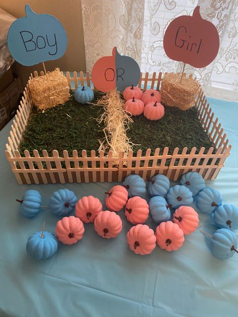 Gender Pumpkin Reveal, Fall Halloween Gender Reveal, Halloween Pumpkin Gender Reveal, Unique Gender Reveal Ideas Fall, Halloween Gender Reveal Party Favors, Horror Theme Gender Reveal, Fall Gender Reveal Party Games, Gender Reveal Ideas For Party Pumpkin, Unique Fall Gender Reveal Ideas