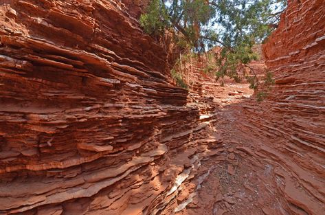 Caprock Canyon, Hiking In Texas, Texas Adventure, Texas Road Trip, Texas State Parks, Things To Do In Texas, Texas Vacation, Texas Destinations, Texas Trip