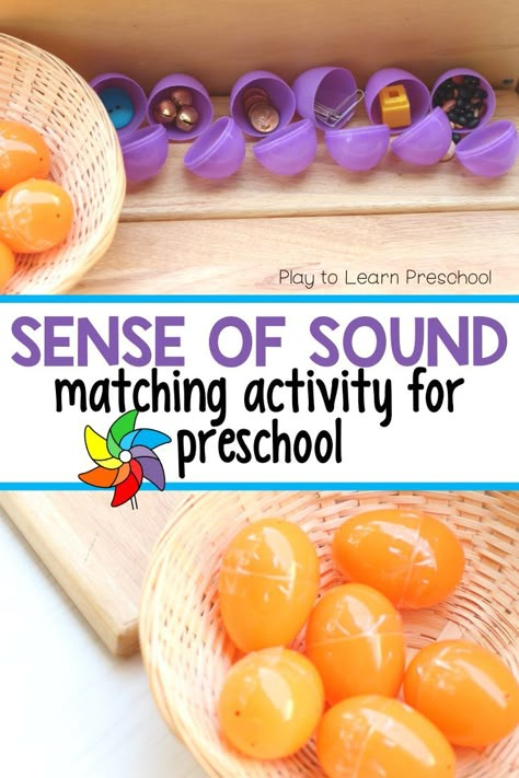 5 Senses Activity, Preschool 5 Senses, Senses Activity, 5 Senses Preschool, My 5 Senses, Science Center Preschool, Five Senses Preschool, 5 Senses Activities, Senses Preschool