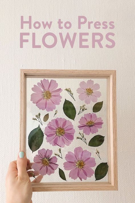 Easy DIY Pressed Flowers Diy Easy Flowers, Diy Pressed Flowers, Pressed Roses, Dried Flowers Crafts, Pressed Flowers Frame, Pressed Flowers Diy, Press Flowers, Photo Frame Shop, Dried Flowers Diy