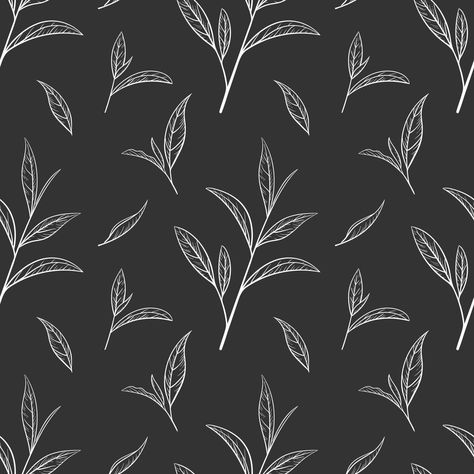 Leaf green tea pattern seamless, vector illustration. Leaves tea tree on black background. Hand drawn sketch in vintage style for print and design. Organic nature herb outline, eco healthy food Tea Tree Illustration, Tea Leaf Illustration, Leaf Illustration Pattern, Tea Leaves Illustration, Tea Sketch, Tea Vector, Tea Pattern, Illustration Leaves, Leaves Sketch