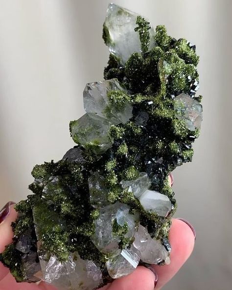 Pretty Rocks Stones, Green Crystal Aesthetic, Green Crystals Aesthetic, Crystal Collection Aesthetic, Minerals Aesthetic, Crystals In Nature, Gem Aesthetic, Gems Aesthetic, Gemstone Aesthetic