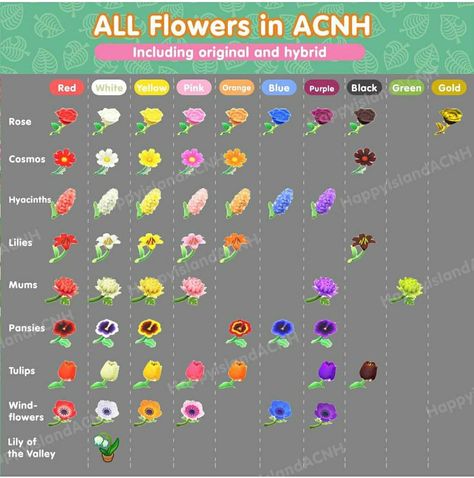 Flower Guide Acnh, Acnh Flower Types, Acnh Flower Chart, Acnh Hybrid Flowers, Breeding Flowers Animal Crossing, All Flowers Animal Crossing, Acnh Flower Colors, Acnh Flower List, Acnh Hybrid Flower Chart