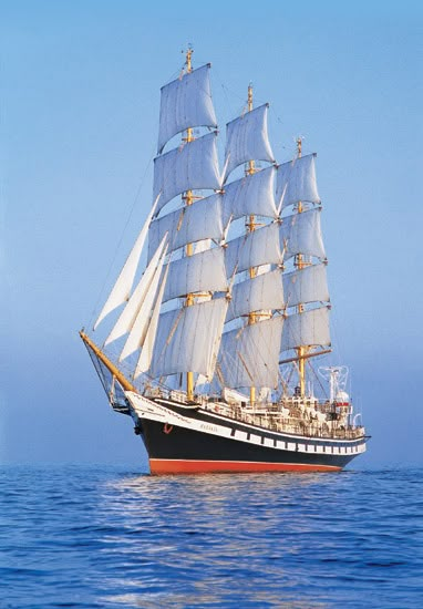 Kid Game, Sail Ships, Navi A Vela, Sea Ship, Old Sailing Ships, Clipper Ship, Sailing Vessel, Naval History, Tall Ship