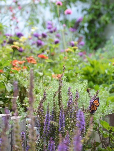 Bees In Flowers, Enjoy The Butterflies, Monarch Butterfly Garden, Butterfly Garden Design, Butterfly Gardens, Garden Butterfly, Small Water Features, Gardens Ideas, Hummingbird Garden