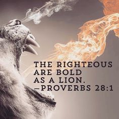 Proverbs 28:1 The wicked flee when no man pursueth: But the righteous are bold as a lion. Lion Tattoo Quotes, The Righteous Are As Bold As A Lion, Fire Lion Tattoo, Creative Tattoos For Men, Lion Bible Verse, Lion Tattoos For Men, Bold As A Lion, Kosher Diet, Book Website