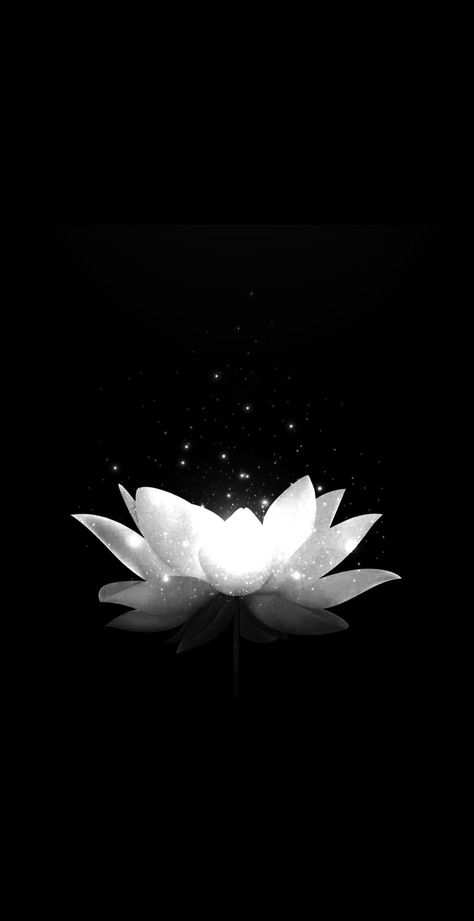 Lotus Wallpaper Iphone, Lotus Wallpaper Aesthetic, White Lotus Wallpaper, Lotus Flower Wallpaper, Lotus Wallpaper, Phone Decorations, Crown Aesthetic, White Lotus Flower, Background Phone