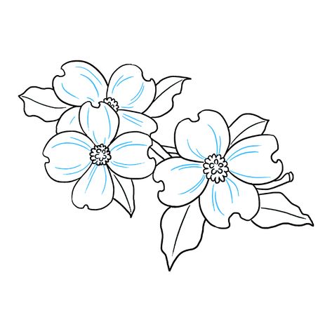 How to Draw Dogwood Flowers - Really Easy Drawing Tutorial Dogwood Flower Drawing, Flower Drawing Simple, Dogwood Tattoo, Dogwood Flower Tattoos, Flower Coloring Sheets, Printable Flower Coloring Pages, Dogwood Blooms, Flower Stencils, Garden Coloring Pages