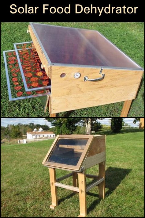 Solar Food Dehydrator, Solar Dehydrator, Food Dryer, Food Dehydrator, Homestead Survival, Diy Solar, Dehydrator Recipes, Storage Diy, Off Grid Living