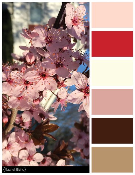 Cherry Color Schemes Japanese Color Palette, Cherry Blossom Color, Color Palette Purple, Japanese Colors, Red Color Schemes, Winter Color Palette, Colour Pallets, Color Schemes Colour Palettes, Colored Pencil Techniques