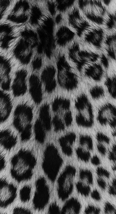 Leopard Print Wallpaper, Cheetah Print Wallpaper, Images Hello Kitty, Shotting Photo, Simple Phone Wallpapers, Animal Print Pattern, 背景 シンプル, Printed Backgrounds, Black And White Wallpaper