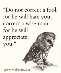 Do not correct a fool, for he will hate you; correct a wise man for he will appreciate you.  www.wilddonna.com Intp Psychology, Quotes About Fools, Funny Owl Quotes, Senior Citizen Quotes, Spiritual Understanding, Owl Quotes, I Quotes, Bird Quotes, Spiritual Psychology