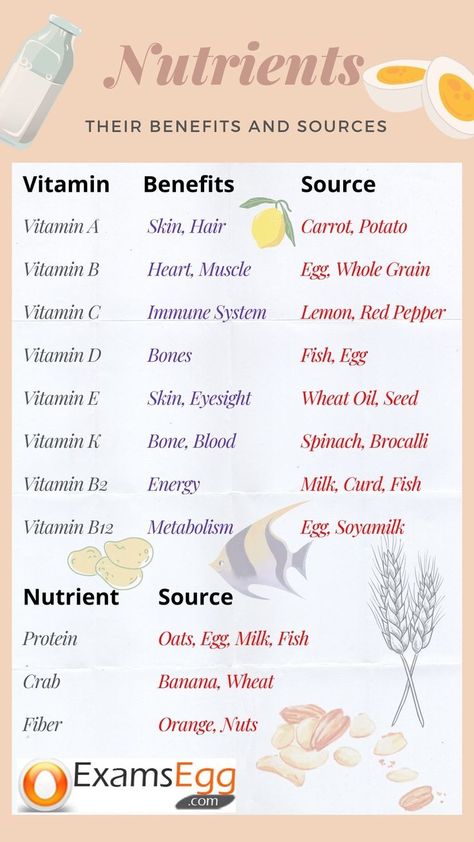 which food gives you which vitamin Fiber Benefits, Immune System Vitamins, Human Body Facts, Nutrition Motivation, Biology Facts, Vitamins For Energy, Study Flashcards, Medical School Essentials, Science Notes