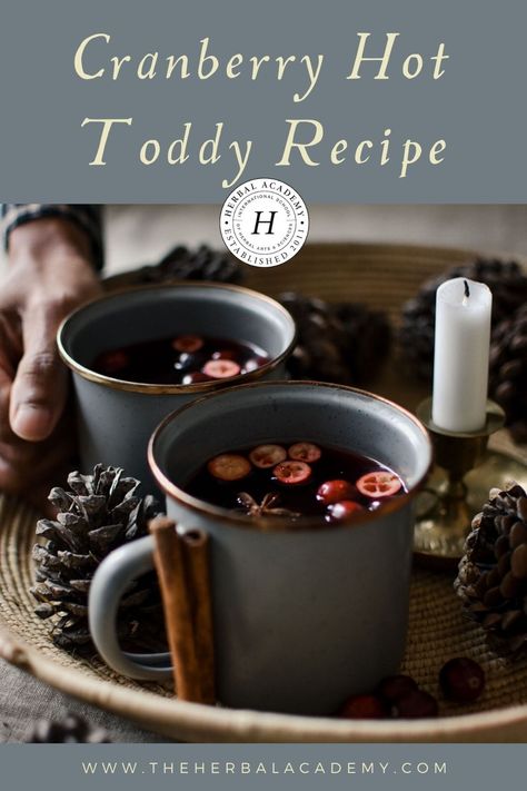 Cranberry Hot Toddy, Warming Herbs, Cloves Recipes, Hot Toddy Recipe, Pure Cranberry Juice, Toddy Recipe, Hot Toddies Recipe, Cafe Drinks, Amazing Drinks