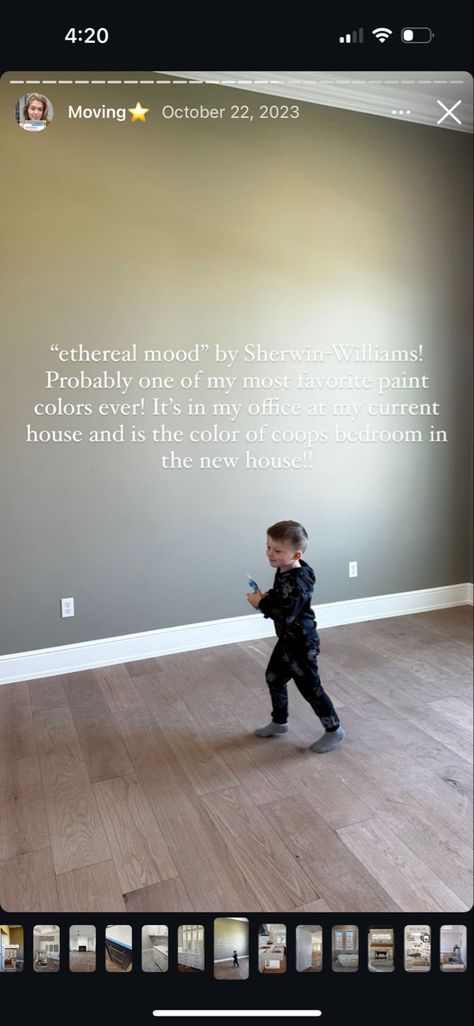 Ethereal Mood Paint, Sw Ethereal Mood, Mood Paint, Favorite Paint Colors, Most Favorite, Sherwin Williams, Rustic House, Home Remodeling, Paint Colors