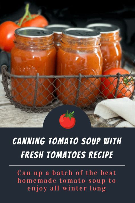 Tomato Soup From Fresh Tomatoes, Canning Tomato Soup, Tomato Soup With Fresh Tomatoes, Canning Soup Recipes, Pressure Canning Meat, Soup Recipes Homemade, Easy Tomato Soup Recipe, Canning Soup, Basil Soup Recipe