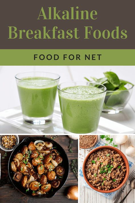 Breakfast can seem tricky if you're following an alkaline diet. Thankfully, there are some good choices, including these ones. #alkaline #diet Alkine Foods Alkaline Diet, Alkaline Food Recipes, Alkaline Recipes For Beginners, Alkaline Breakfast Recipes, Alkaline Vegetables, Top Alkaline Foods, Alkaline Foods Recipes, Alkaline Breakfast, Dr Sebi Recipes Alkaline Diet