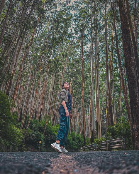 Camouflage 👀 Best Assistant Photographer @shivangiiagarwal . . . . #camouflage #ooty #pineforest #roadtrip #forestphotography #roadphoto #hill #tamilnadu Pine Forest Ooty Photography, Pine Forest Ooty, Photoshoot In Ooty, Ooty Trip Story Ideas, Forest Pictures Instagram, Coorg Photography Poses, Trekking Photography Poses, Pine Tree Photoshoot, Aesthetic Photo Poses Instagram